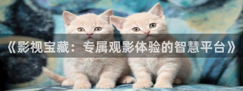 草莓视频官网下载了