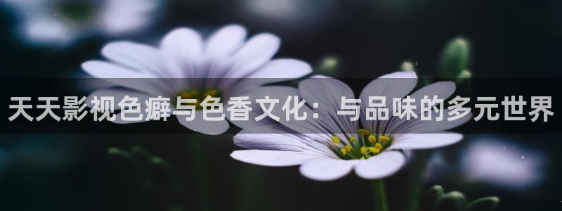 草莓视频10
