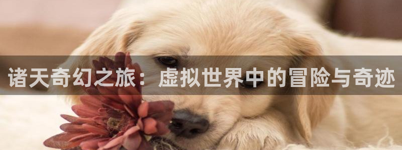 草莓免费视频：诸天奇幻之旅：虚拟世界中的冒险与奇迹