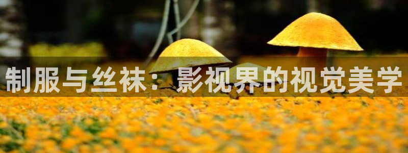 草莓影视污视频：制服与丝袜：影视界的视觉美学